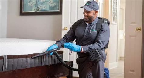 Top 10 Pest Control Tips For Businesses To Follow