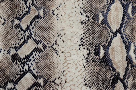 Snakeskin Fabric Stock Photo By ©photographer13 22735879