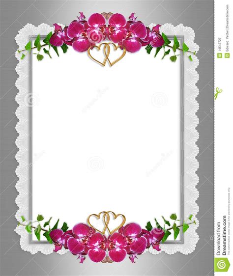 Wedding Invitation Elegant Orchids Royalty Free Stock Photography