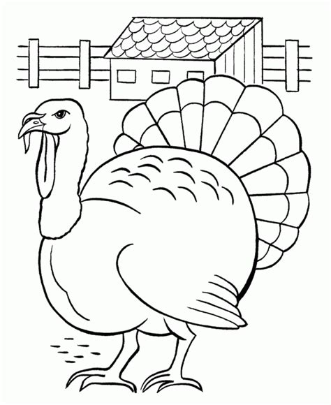 Colours Drawing Wallpaper Printable Thanksgiving Coloring Page For