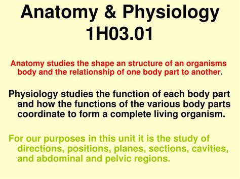 Ppt Unit C Human Body Systems Powerpoint Presentation Free Download