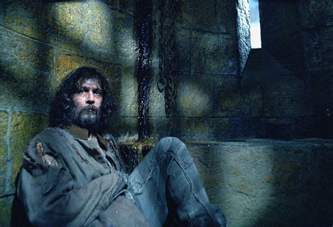 Il totalise 796,7 millions de dollars à travers le monde50, ce qui en fait le deuxième film de 2004 le plus élevé après shrek 2. Harry Potter et le Prisonnier d'Azkaban : 5 grosses ...