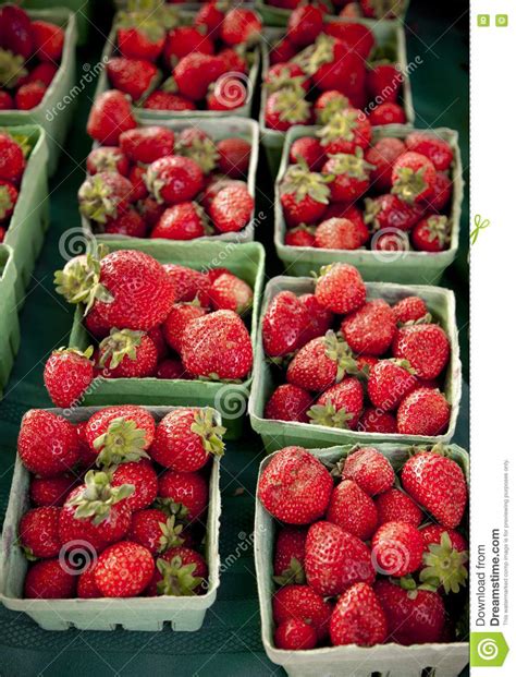 Strawberries In Green Boxes Vertical Stock Image Image Of Rural