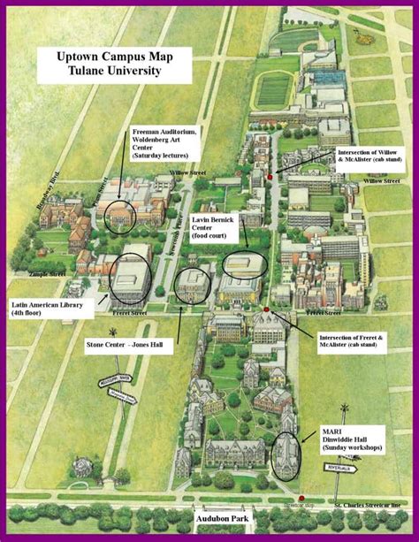Tulane University Great Runs