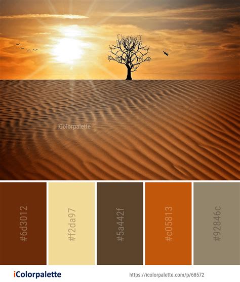 Color Palette Ideas From Sky Erg Desert Image Icolorpalette Sunset