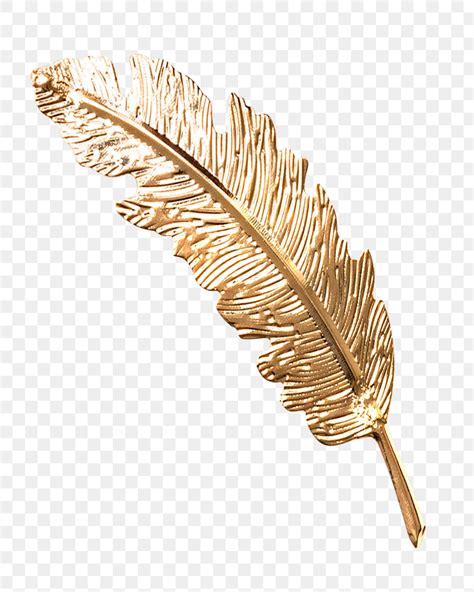 Gold Feather Png Sticker Transparent Premium Png Rawpixel