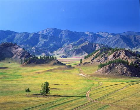 Picture Russia Bochi Altai Republic Nature Mountains Hill Grasslands