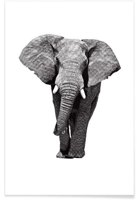 African Elephant Poster Juniqe
