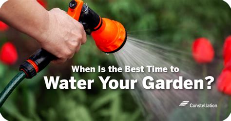 When Is The Best Time To Water A Garden To Conserve Water