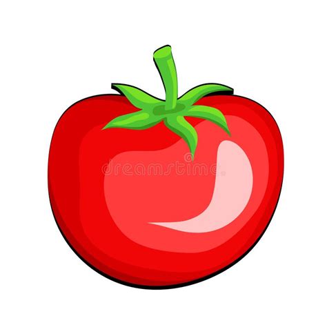 Cartoon Tomato Vegetable On White Hand Draw Vector Illustration Stock