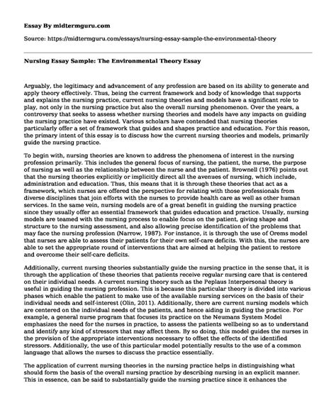 Nursing Essay Sample The Environmental Theory Free Essay Term