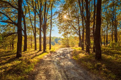Countryside Path Road Way Pathway Through Sunny Stock Image Image Of