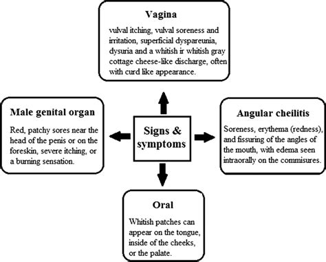 Signs And Symptoms Of Candidiasis Download Scientific Diagram