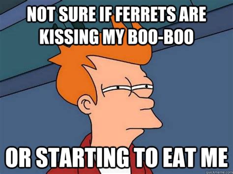 Not Sure If Ferrets Are Kissing My Boo Boo Or Starting To Eat Me