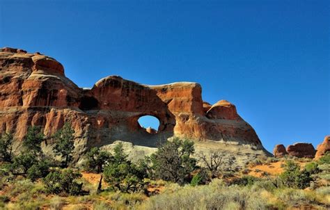 Wallpaper The Sky Trees Rocks Arch Usa The Bushes Arches National