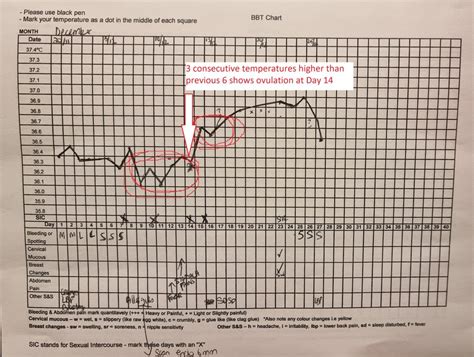 How To Use A Bbt Chart To Help You Fall Pregnant Point Specifics