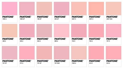 Pantone Millennial Pinks Pantone Pink Color Palette Pink Pink Palette