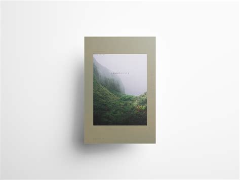 Tranquility Poster Design By Rasa Design Montreal On Dribbble