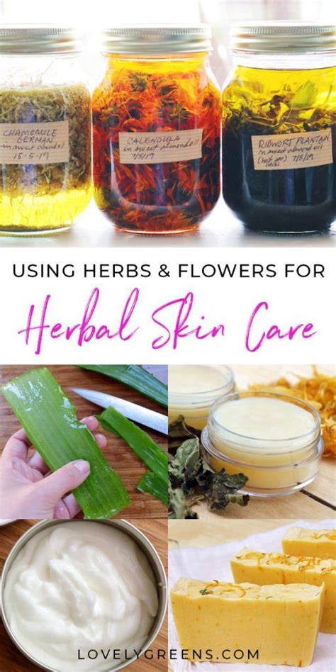 Diy Herbal Skin Care How To Use Plants To Make Natural Beauty Products