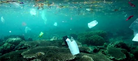 Le 7e Continent Enquete Sur Le Plastique Dans Les Oceans — Tiff In Lyon