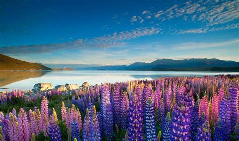 10 Paysages Magnifiques De Nouvelle Zélande Easyvoyage