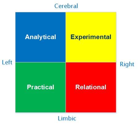 Whole Brain Model - The Peak Performance Center