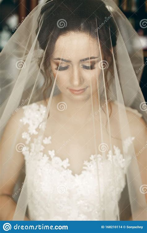 Gorgeous Brunette Bride Under Veil Posing Near Window Portrait Of