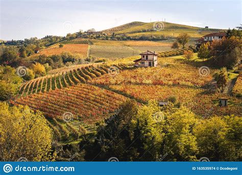 Landscape Of Langhe Vineyards Hills Autumn Landscape Beautiful Colors