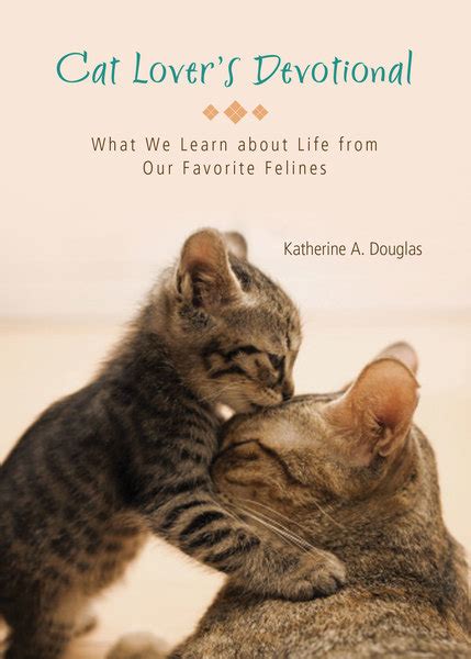 Cat Lovers Devotional What We Learn About Life From Our Favorite