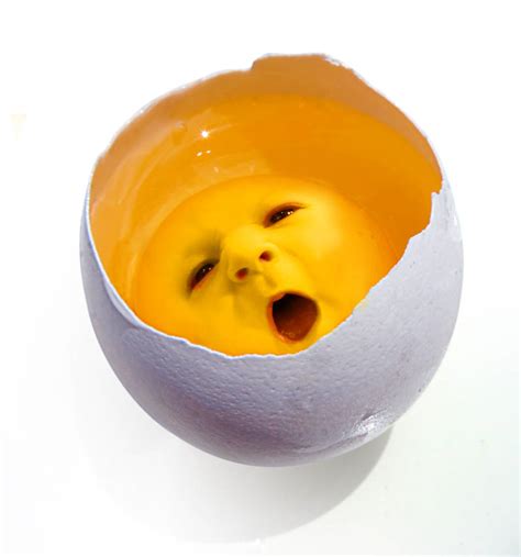Baby Egg By Igooch On Deviantart