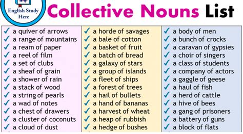 Collective Nouns Archives English Study Here