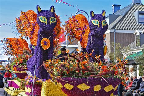 12 best festivals in the netherlands unique dutch celebrations you won t find anywhere else