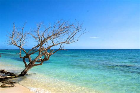 Best Beaches In Kingston Jamaica