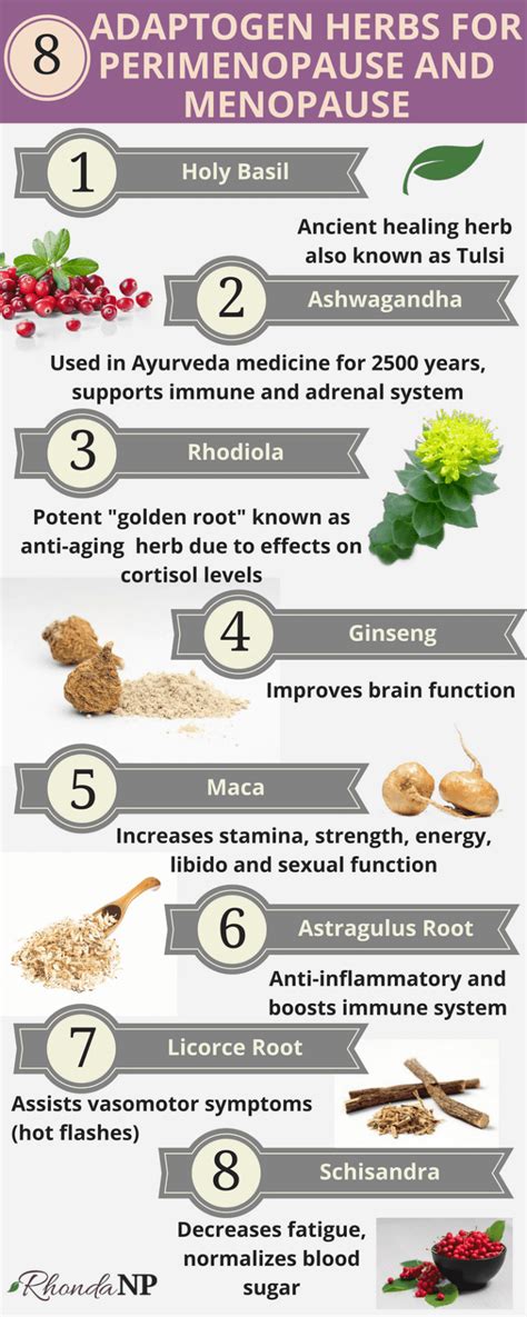 8 Adaptogen Herbs To Help Perimenopause And Menopause Jolliffe Institute