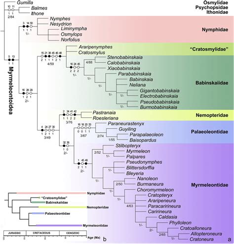Phylogeny And Evolutionary Chronogram Of Extinct And Extant