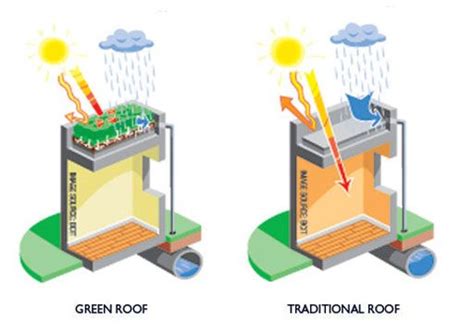 Green Roof Benefits Green Roof Benefits Green Roof Green Roof System