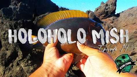 Holoholo Solo Big Island Hawaii Fishing Adventure Youtube