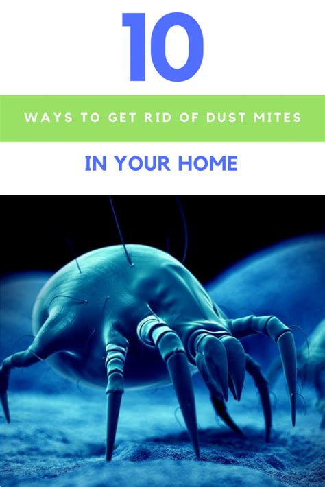 10 Ways To Get Rid Of Dust Mites Without Using Harmful Chemicals