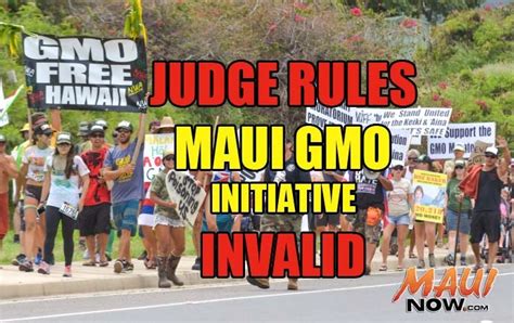 Breaking Federal Judge Rules Maui Gmo Initiative Invalid Maui Now