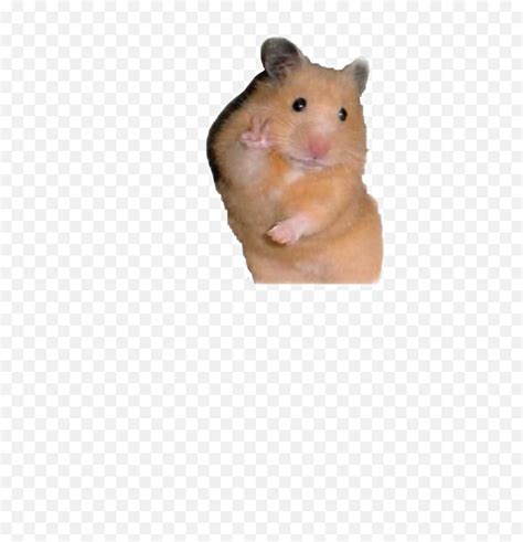 Idk Why But This Is So Cute Hamster Peace Sign Hamster Sticker Png