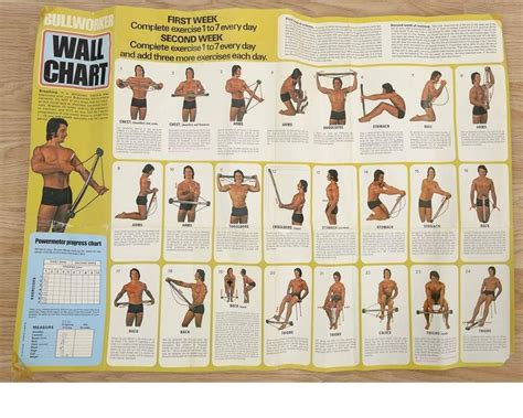 Images In 2021 Workout Chart Isometric Exercises Gym Workout Tips