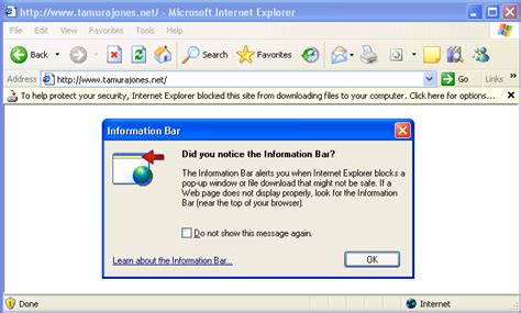 Reinstall Internet Explorer 6 Windows Xp Sp3 Ggetid