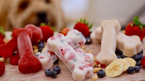 Yogurt And Berries Dog Treats Gemmas Bigger Bolder Baking