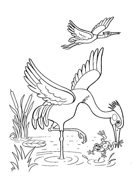 Sketsa Burung Garuda Untuk Anak Tk Semburat Warna