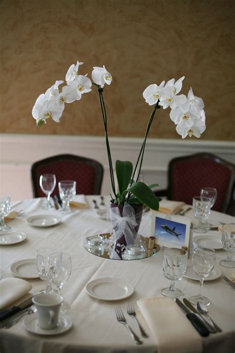 Orchid Centerpieces Mesa De Casamento Casamento Minimalista Casamento