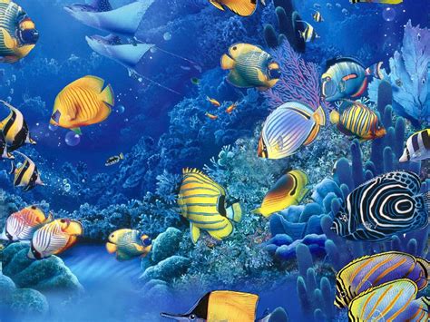 Fish under the sea free vector. Sea Fish Wallpaper | osabelhudosec