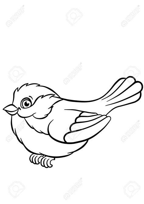Download Titmouse Clipart For Free Designlooter 2020 👨‍🎨