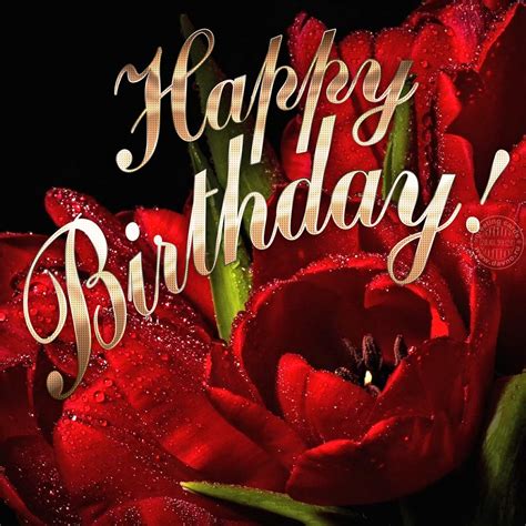 Birthday Card With Red Roses — Download On