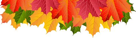 Fall Leaf Png Border Download Fall Leaves Border Png Free