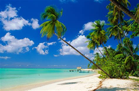 7 Best Beaches In Trinidad And Tobago